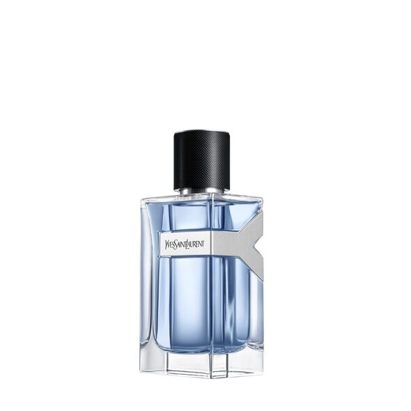 yves saint laurent the y