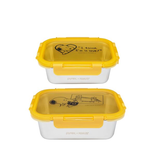 https://media.metro.sg/ProductImages/9b6ece8f-2842-487c-a243-e601f383d833/1/240x240/pyrex-snoopy-2pc-stainless-steel-storage-with-lid-231122052926.jpg