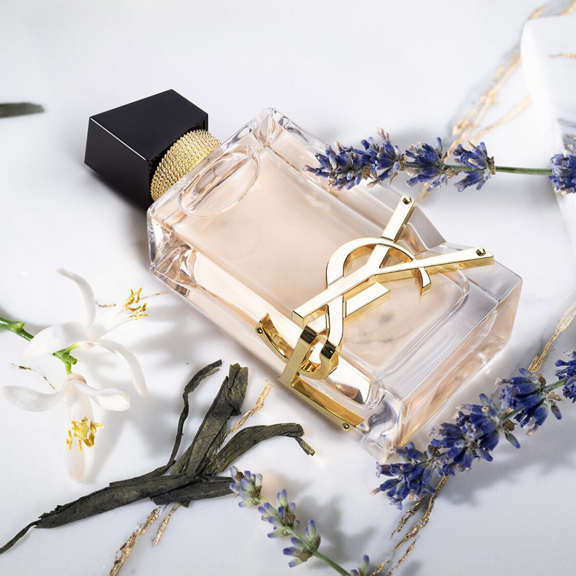 la libre ysl