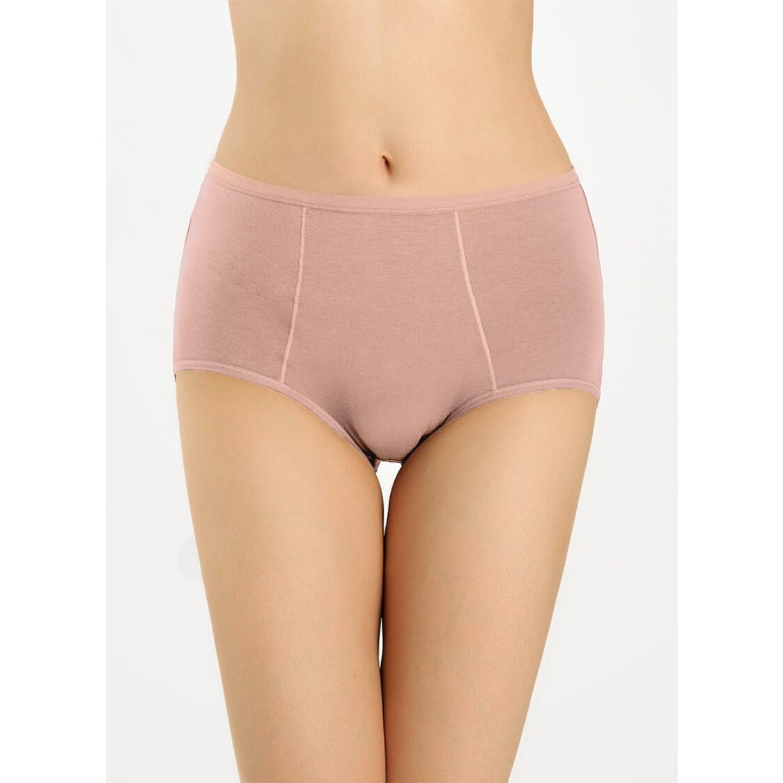 Sorella Restful Comfort Maxi Plus Panty Grey 20-073091